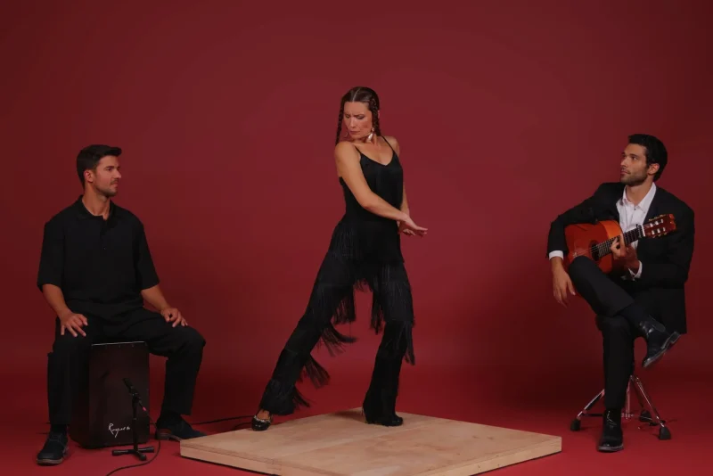 AIRE-trio FLAMENCO